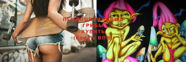 spice Алзамай