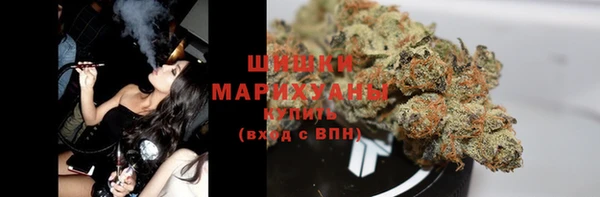 spice Алзамай