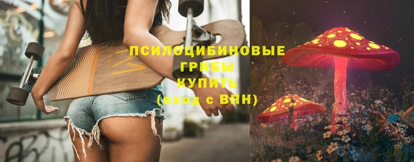 spice Алзамай