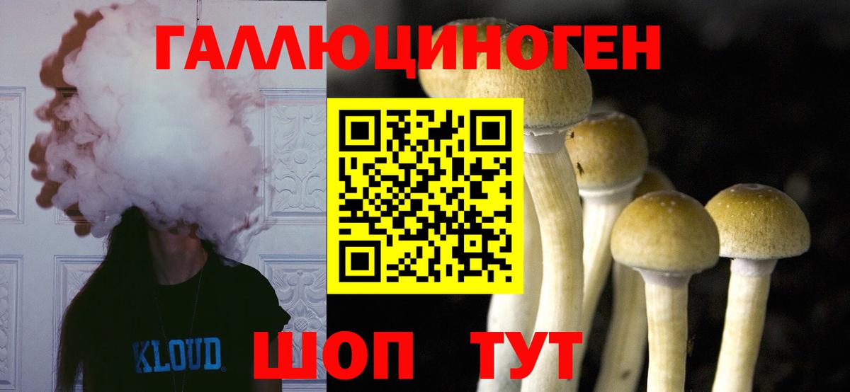 Кондопога  Галлюциногенные грибы MAGIC MUSHROOMS  закладка  Вход с VPN 